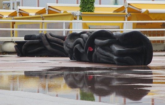 Systèmes racinaires